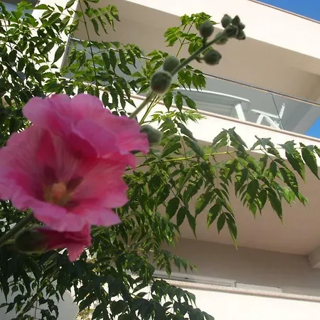 Διαμέρισμα Open Hus