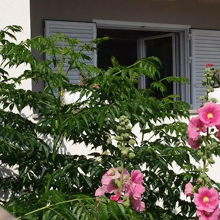 Open Hus *