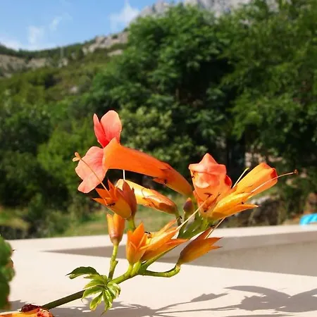 Apartment Open Hus *