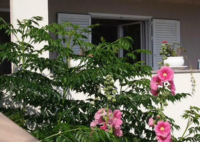 Open Hus *